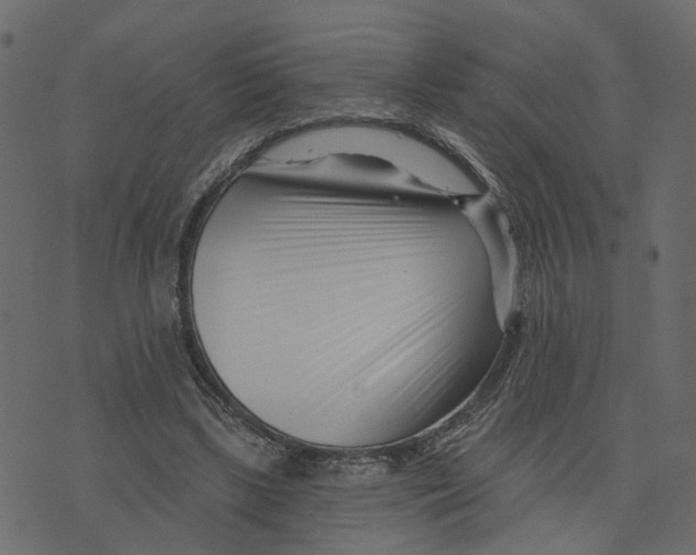 X0000073420443200608251554