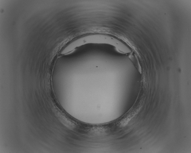 X0000073420445200608251554