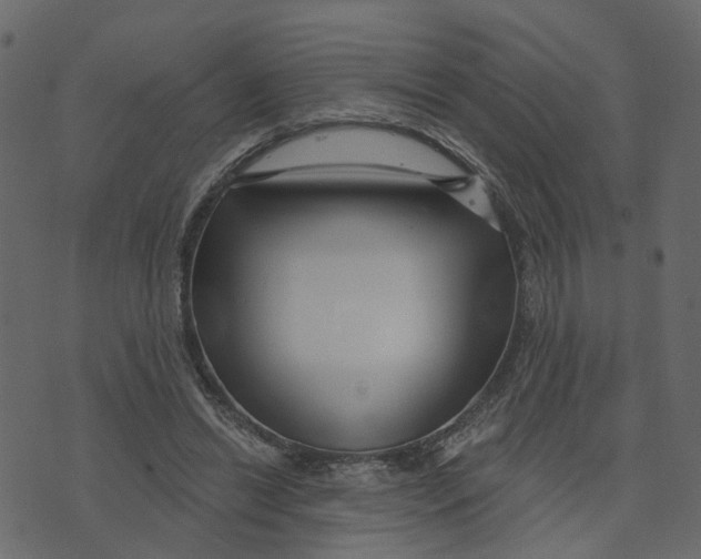 X0000073420446200608251554