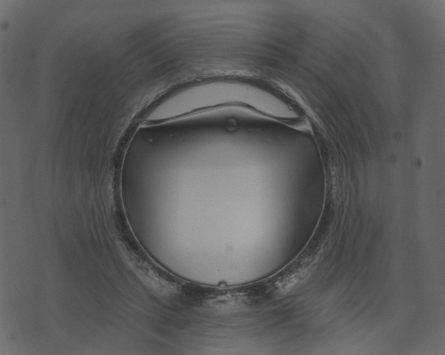 X0000073420447200608251554