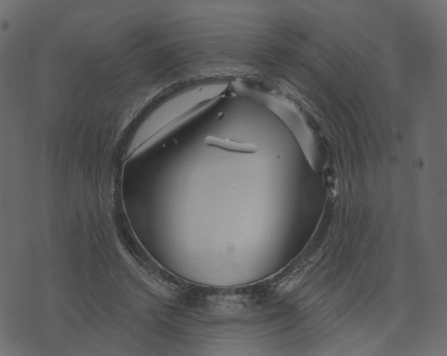 X0000073420448200608251554