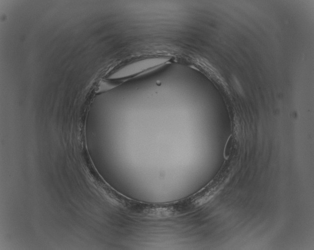 X0000073420449200608251554