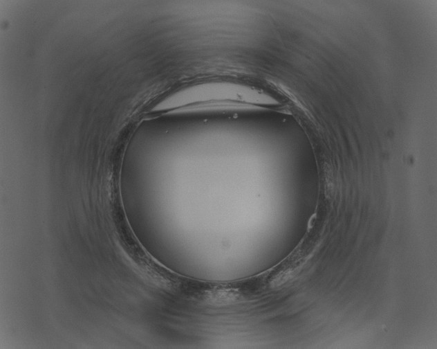 X0000073420451200608251554