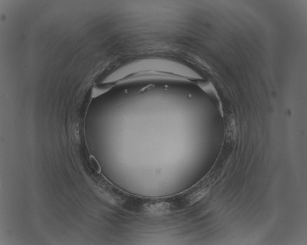 X0000073420452200608251554