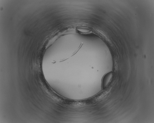 X0000073420453200608251554