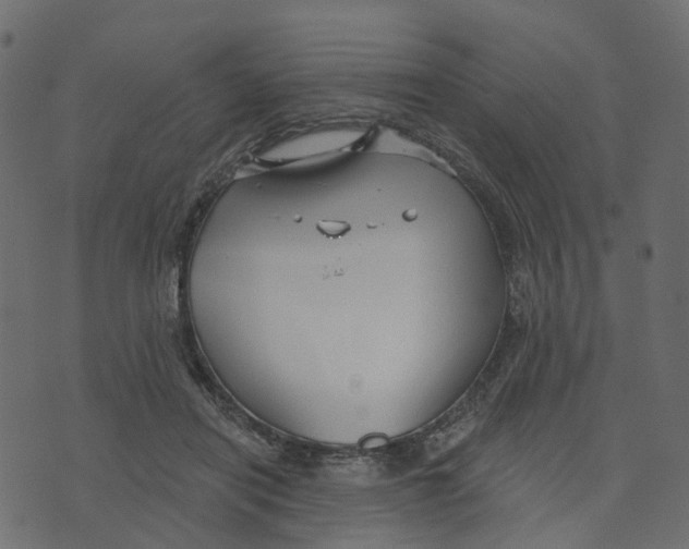 X0000073420454200608251554