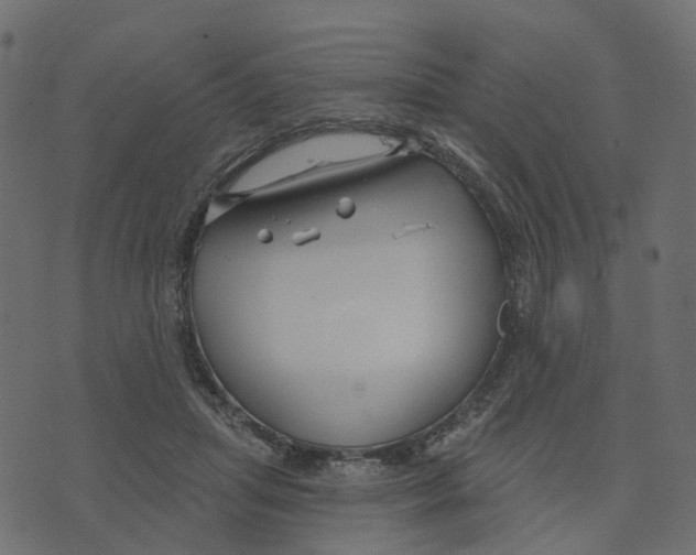 X0000073420455200608251554