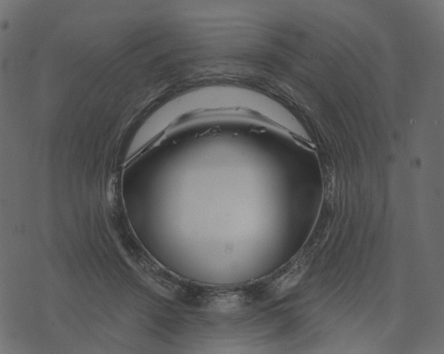 X0000073420456200608251554