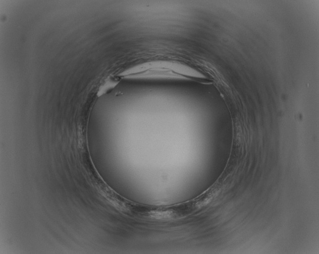 X0000073420457200608251554