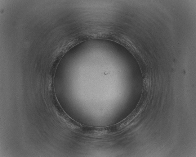 X0000073420458200608251554