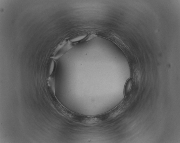 X0000073420459200608251554