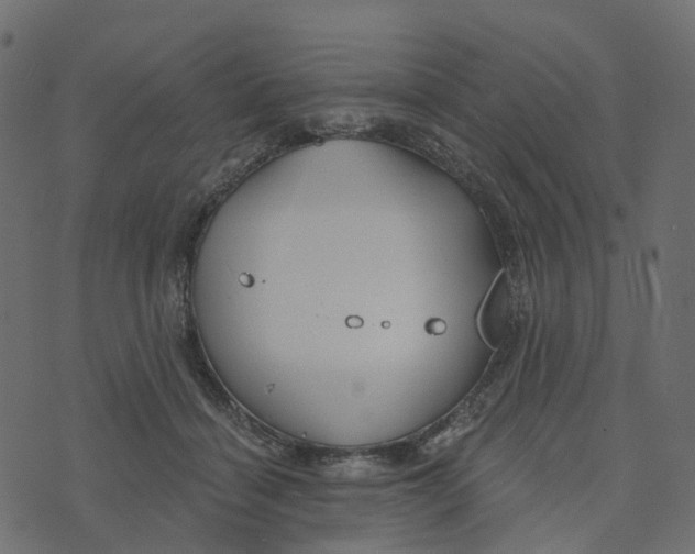 X0000073420460200608251554