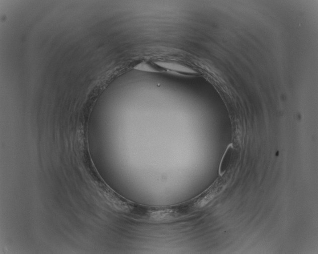 X0000073420461200608251554