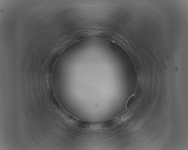 X0000073420462200608251554