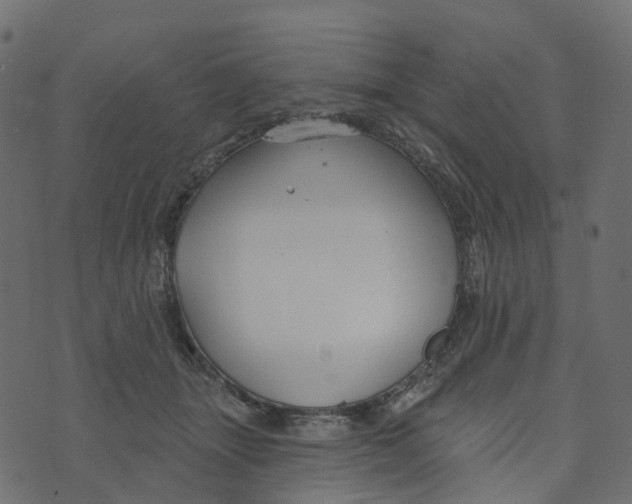 X0000073420463200608251554