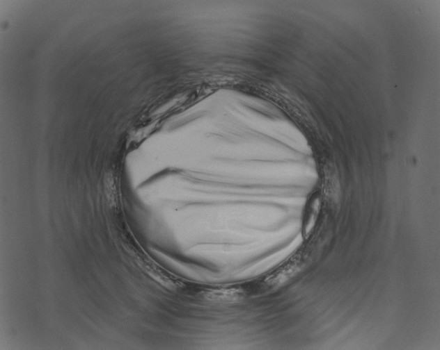 X0000073420465200608251554