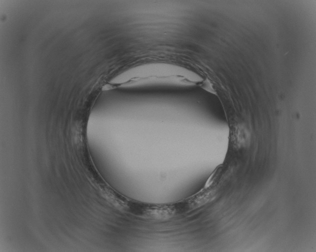 X0000073420466200608251554