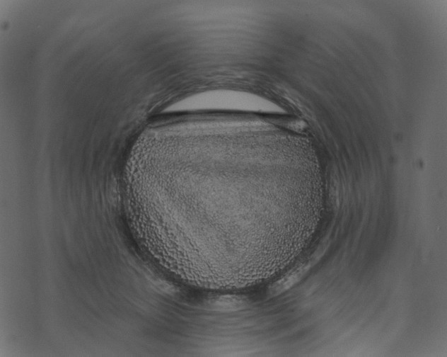 X0000073420467200608251554