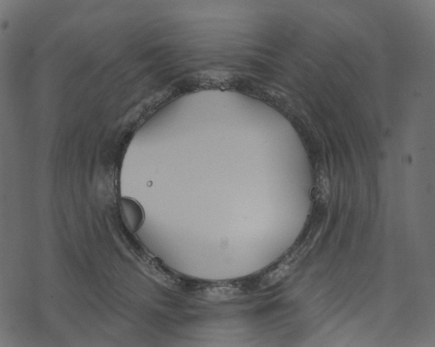 X0000073420468200608251554