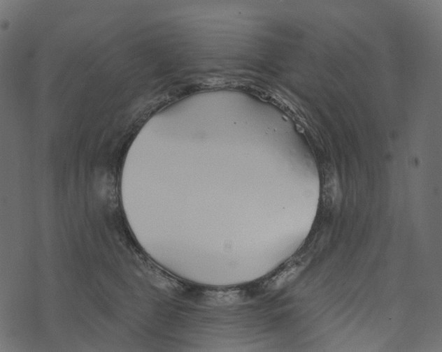 X0000073420469200608251554