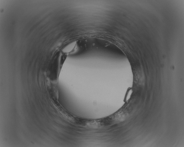 X0000073420470200608251554