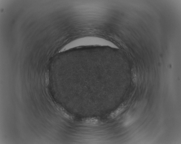 X0000073420471200608251554