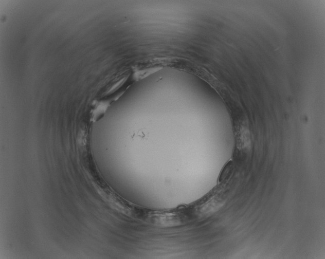 X0000073420472200608251554