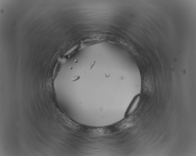 X0000073420473200608251554