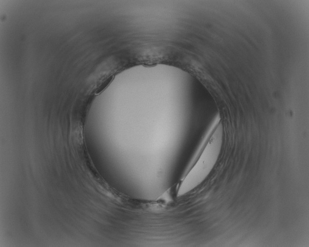 X0000073420474200608251554