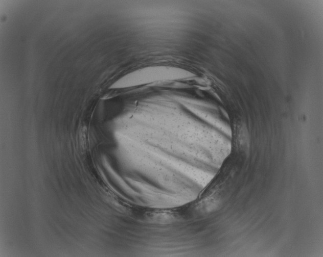 X0000073420475200608251555