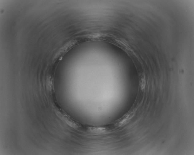 X0000073420476200608251555