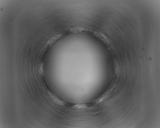 X0000073420477200608251555