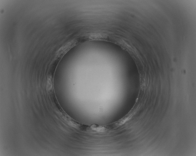 X0000073420478200608251555