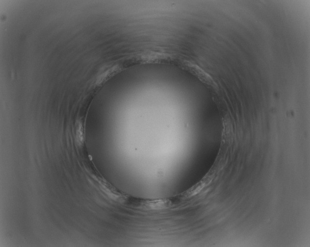 X0000073420479200608251555