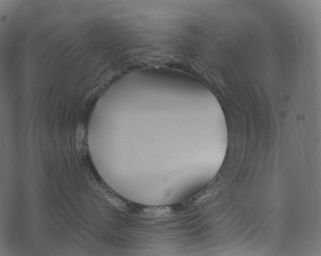 X0000073420480200608251555