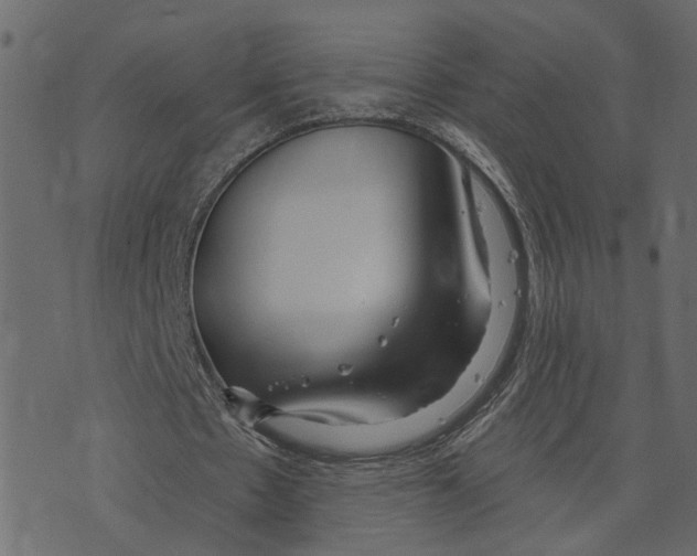 X0000073420481200608251554