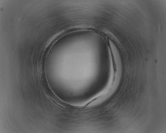 X0000073420484200608251554