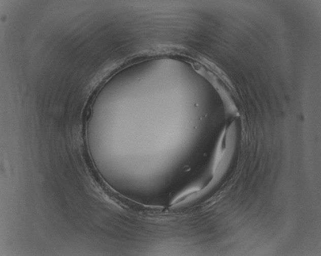 X0000073420485200608251554