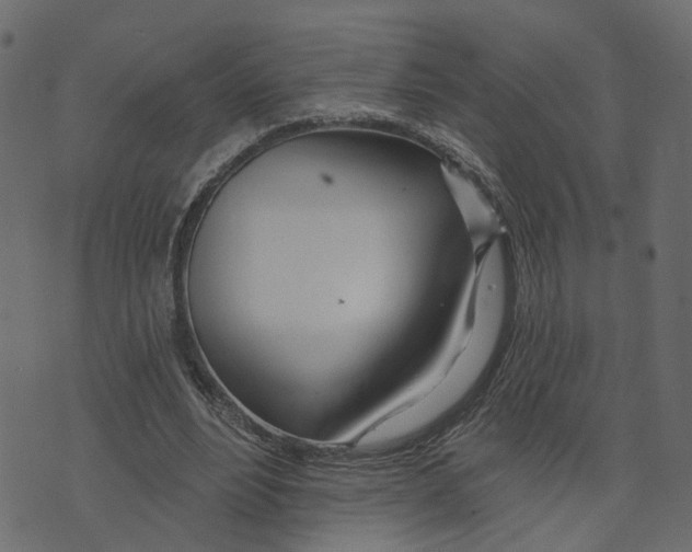 X0000073420488200608251554