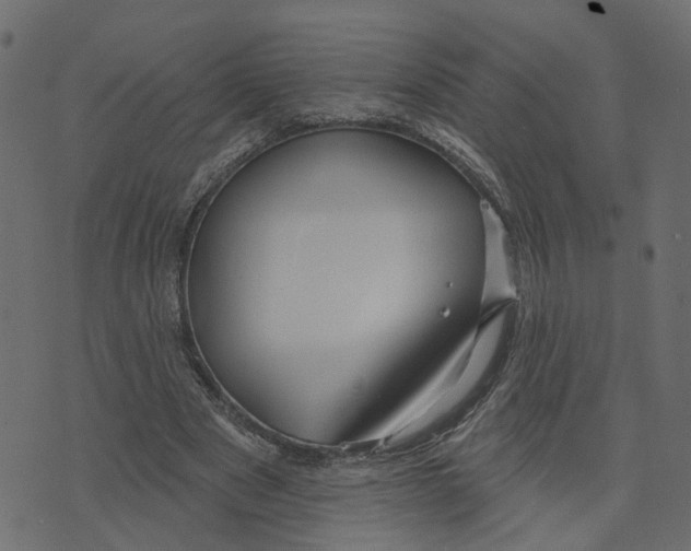 X0000073420489200608251554