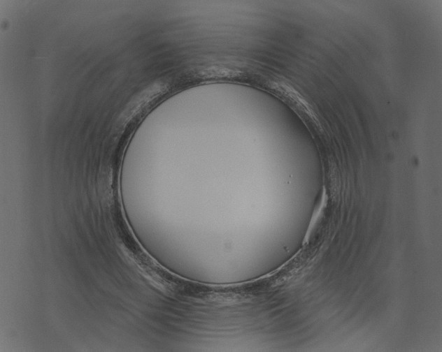 X0000073420490200608251554