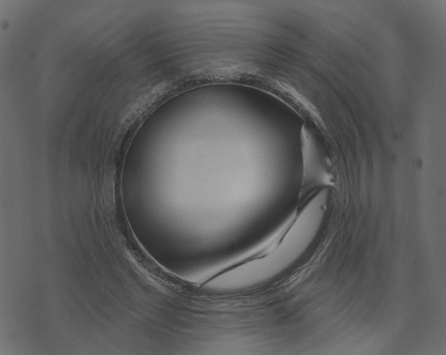 X0000073420493200608251554