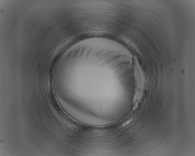 X0000073420494200608251554