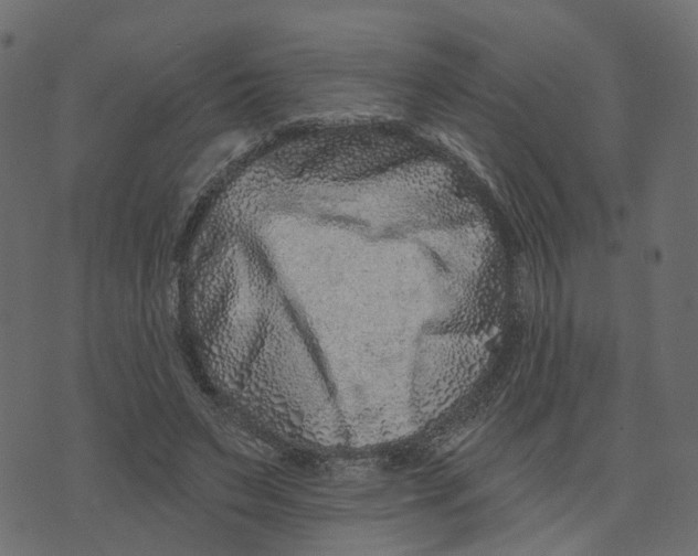 X0000073420495200608251554