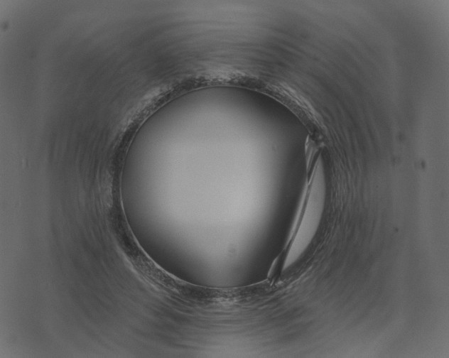 X0000073420496200608251554