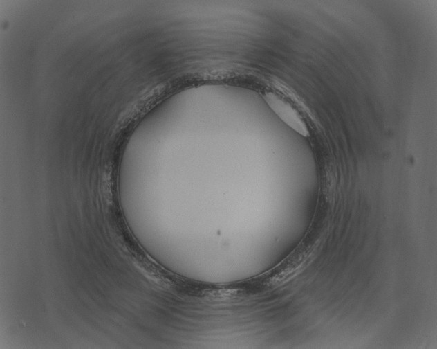 X0000073420497200608251554