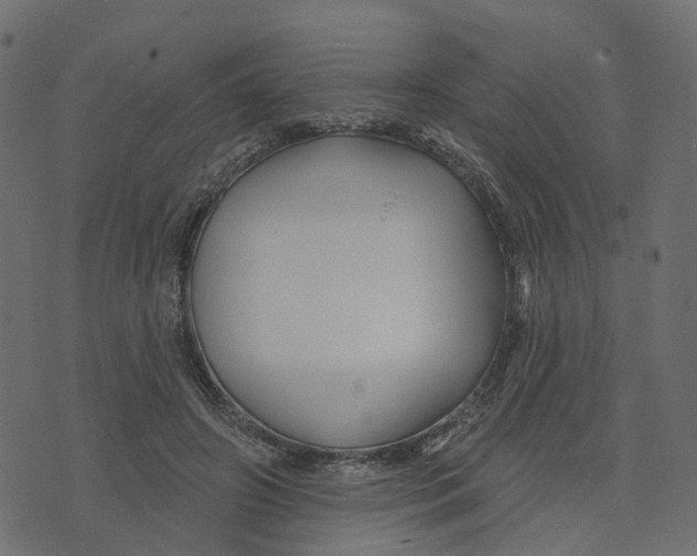 X0000073420498200608251554