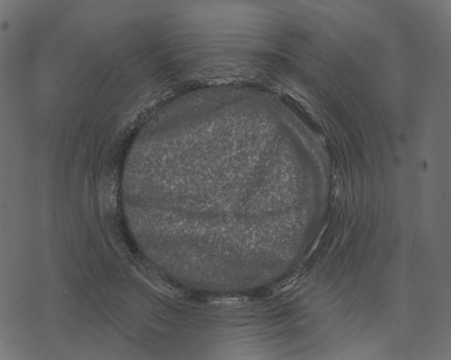 X0000073420499200608251554