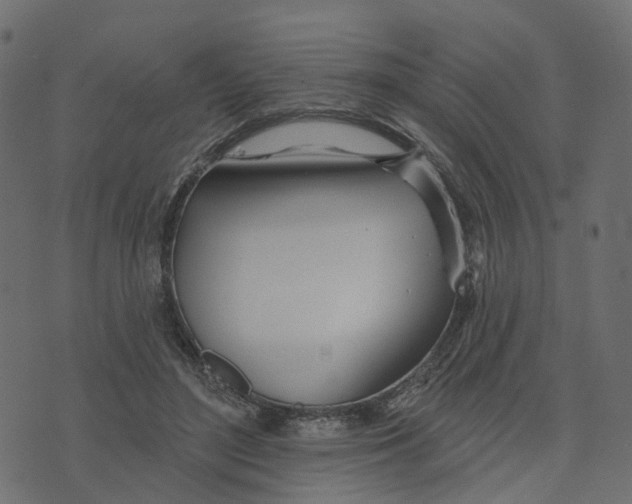 X0000073420500200608251554