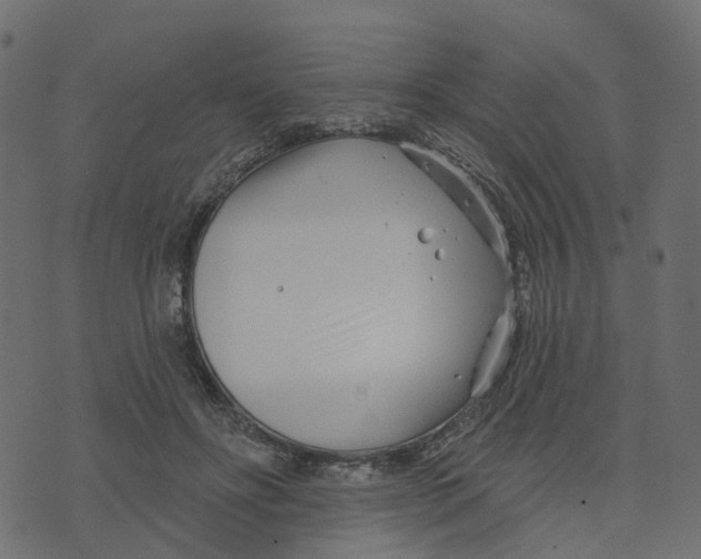 X0000073420502200608251553